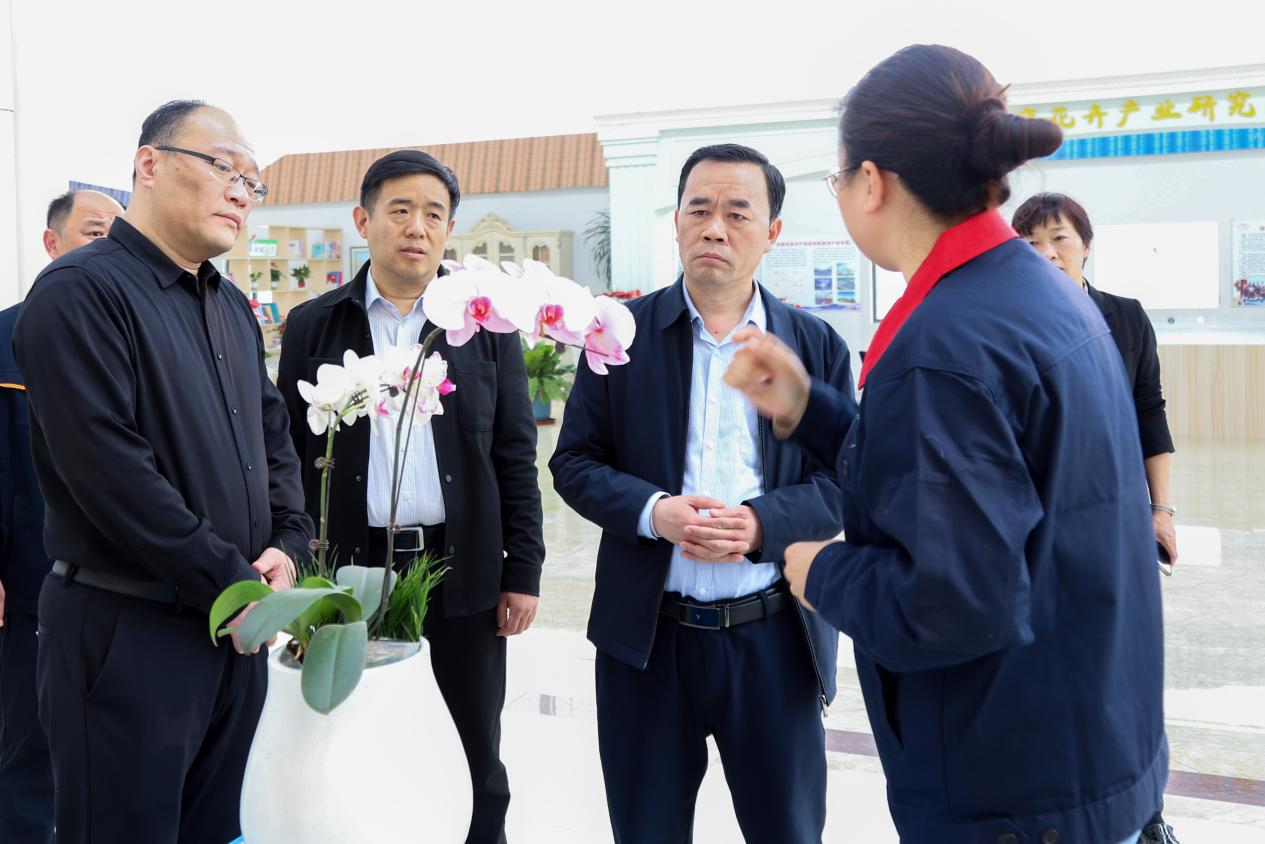 金佰利(国际)官方网站入口